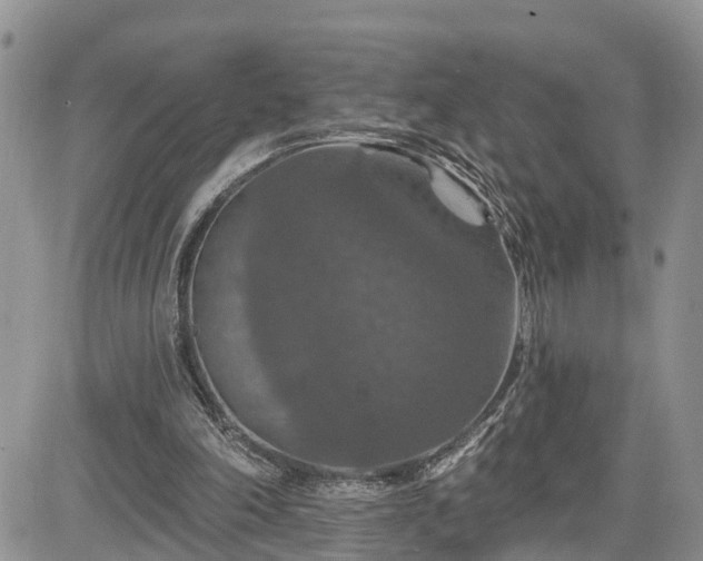 X0000085260198200703161413