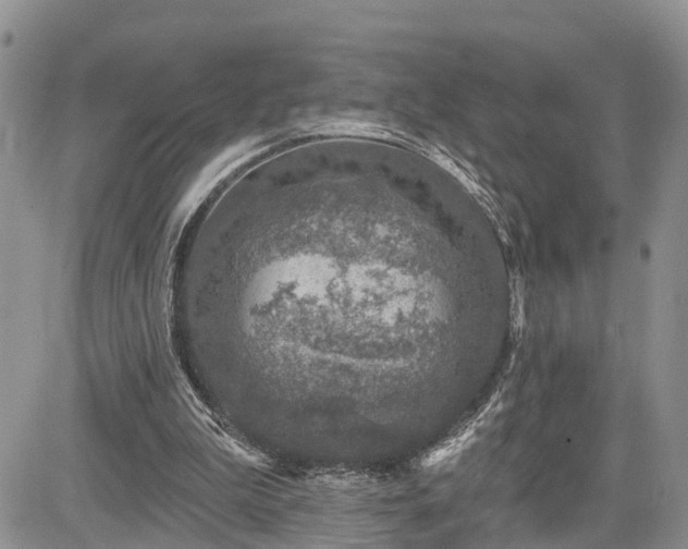 X0000085260199200703161413