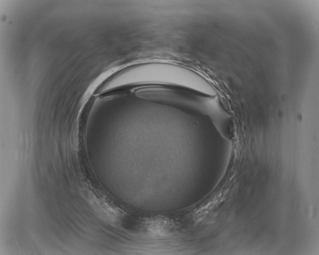 X0000085260200200703161413