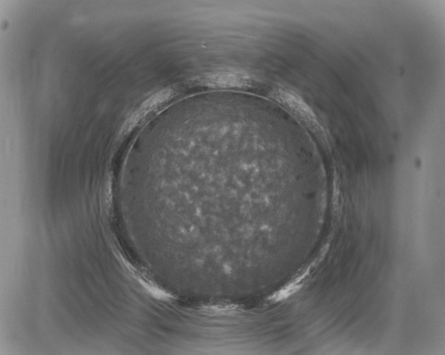 X0000085260202200703161412