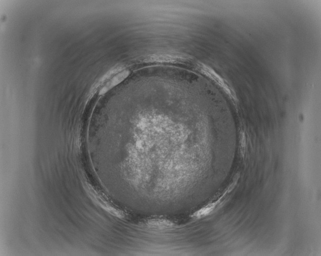 X0000085260203200703161412