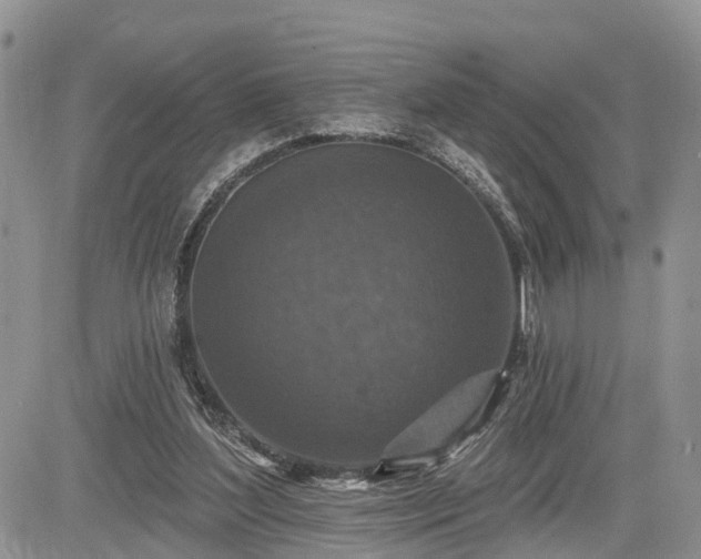 X0000085260204200703161412