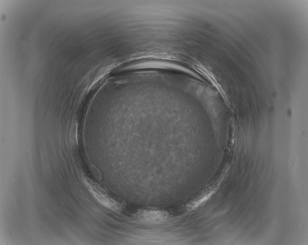 X0000085260205200703161412