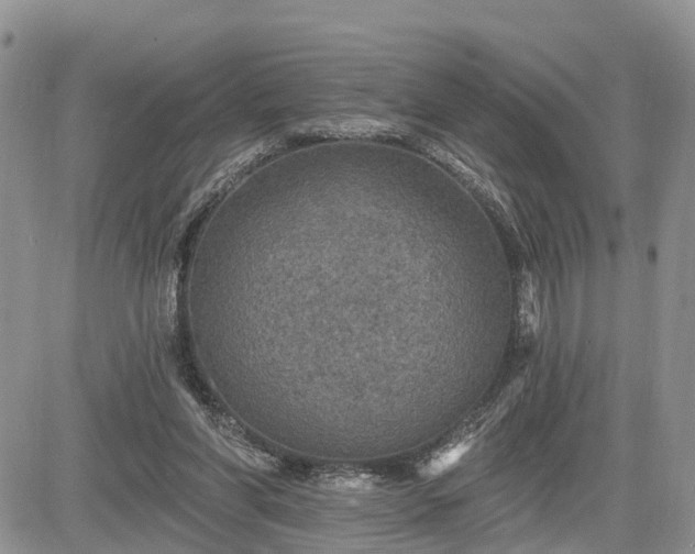 X0000085260206200703161412