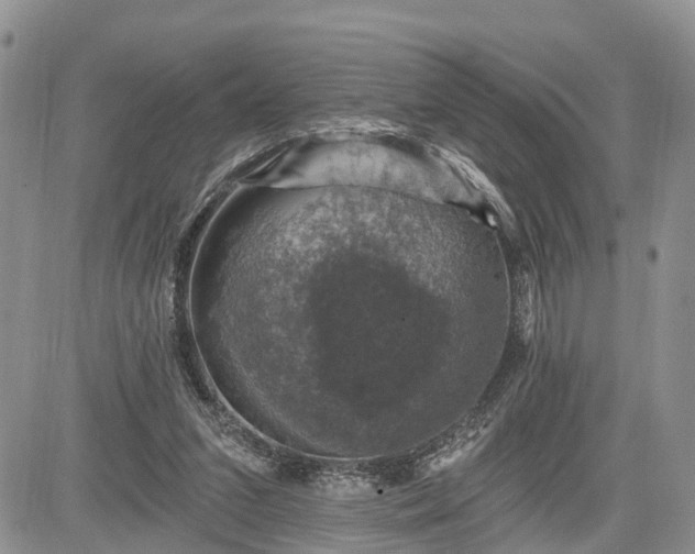 X0000085260207200703161412