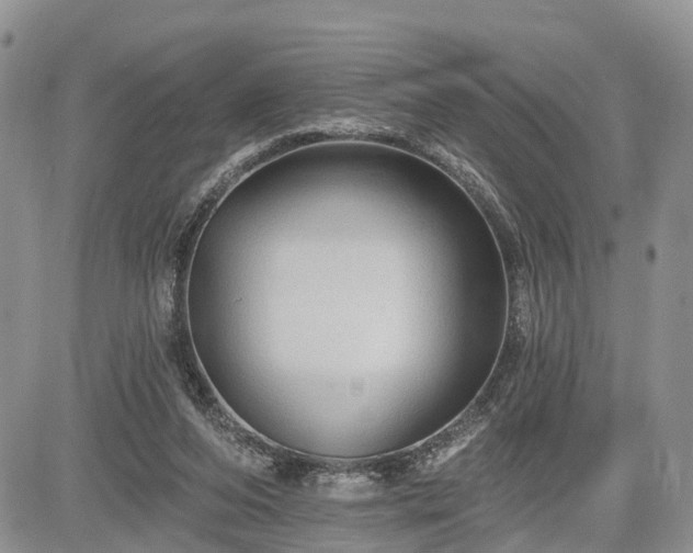 X0000085260208200703161412