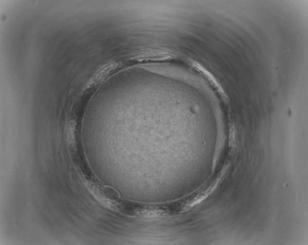 X0000085260209200703161412