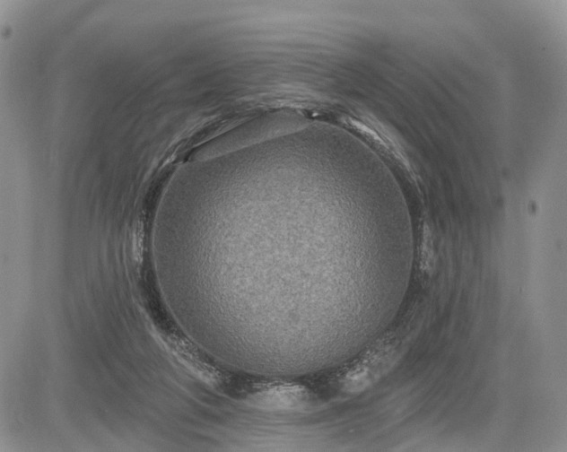 X0000085260210200703161412