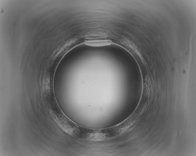 X0000085260212200703161412