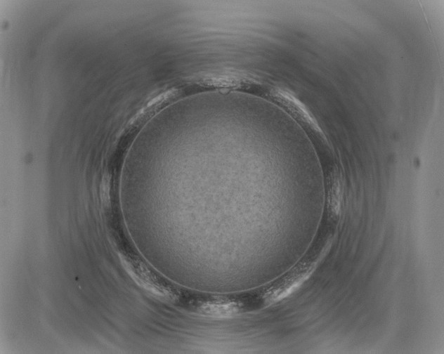 X0000085260213200703161412