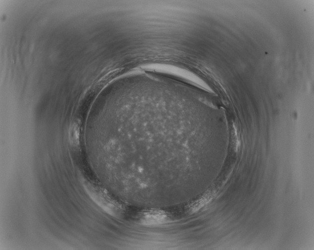 X0000085260214200703161412