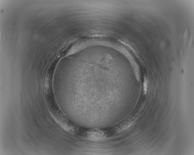 X0000085260215200703161412