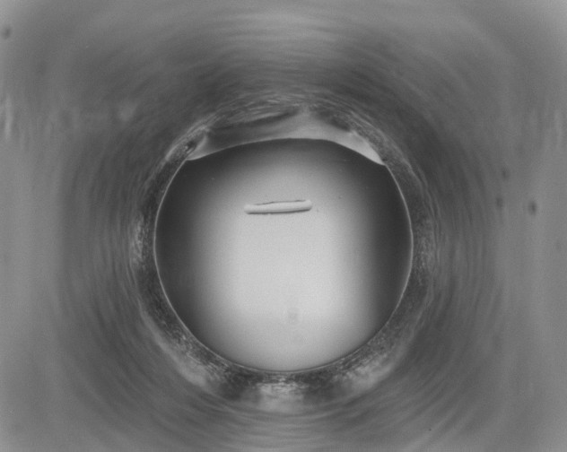 X0000085260216200703161412