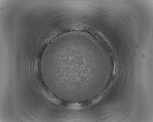 X0000085260217200703161412