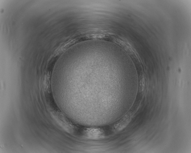 X0000085260218200703161412