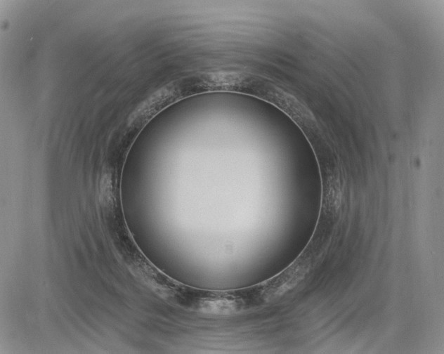 X0000085260220200703161412