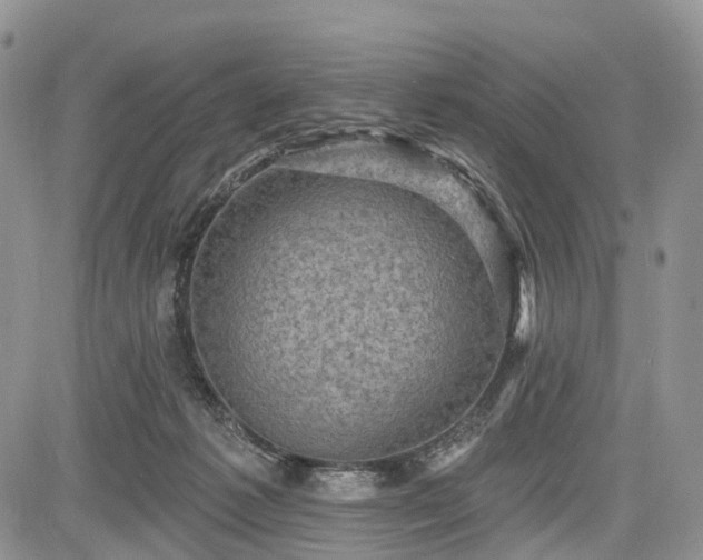 X0000085260221200703161412