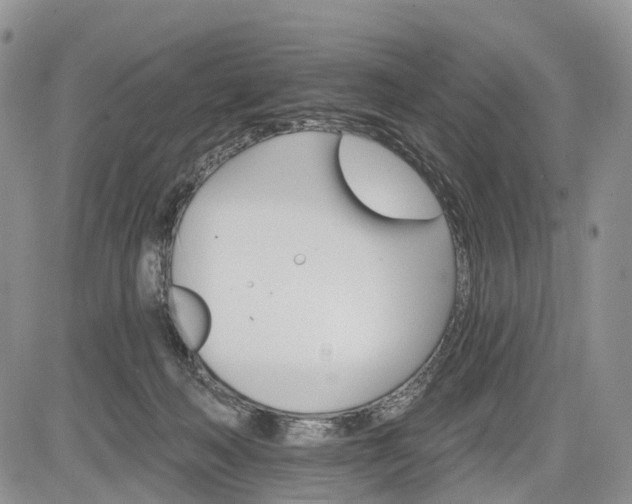 X0000085260222200703161412