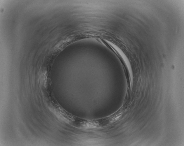 X0000085260223200703161412