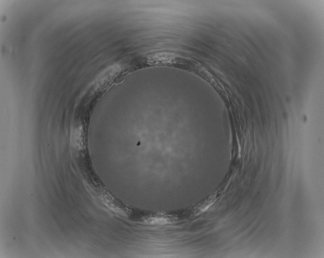 X0000085260224200703161412