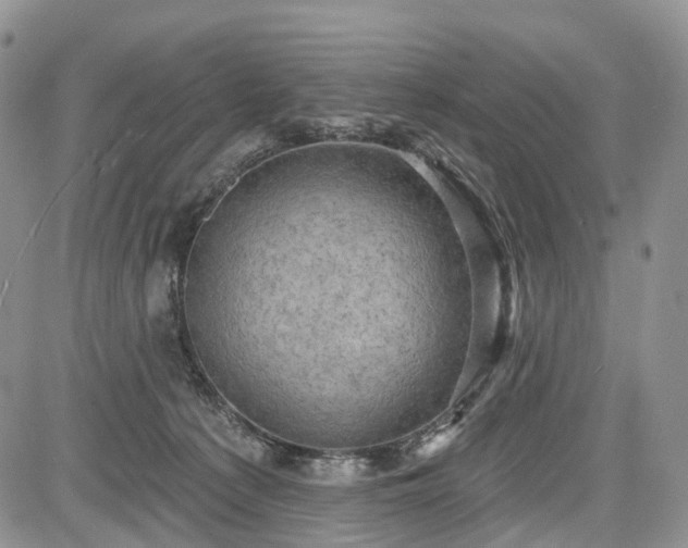 X0000085260225200703161412