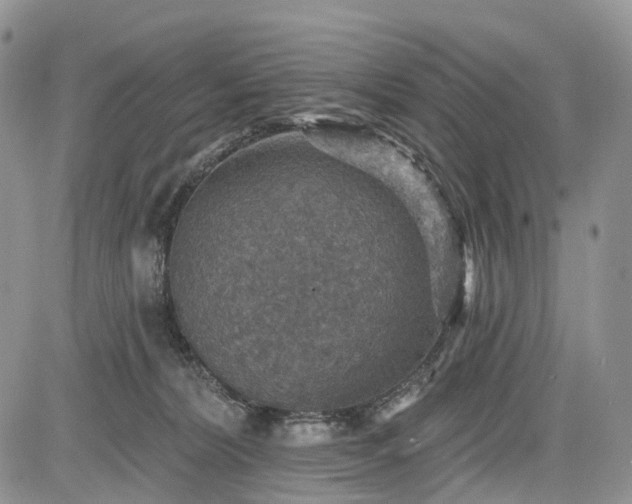 X0000085260228200703161412