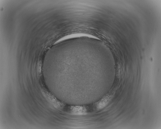 X0000085260230200703161412