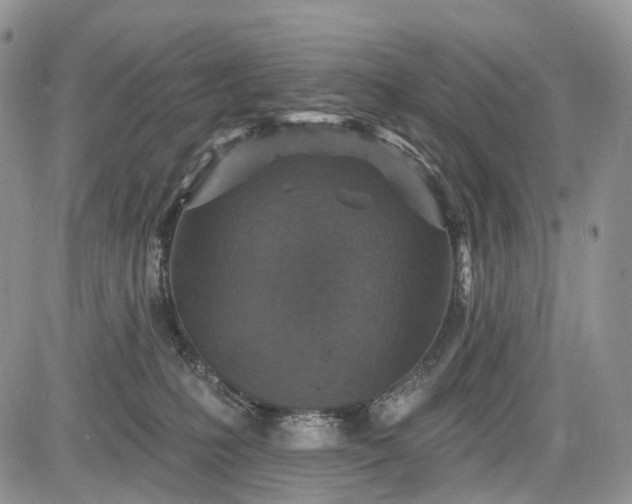 X0000085260231200703161412