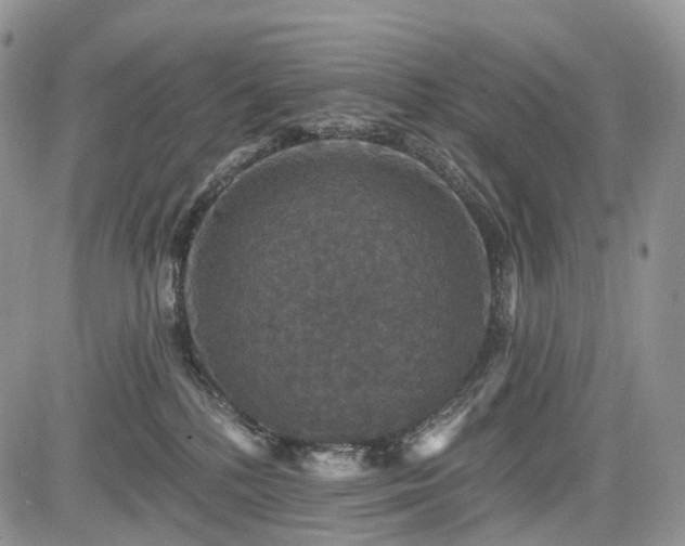 X0000085260232200703161412