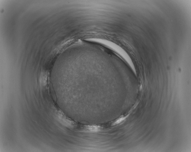 X0000085260233200703161412