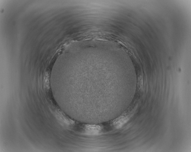 X0000085260234200703161412