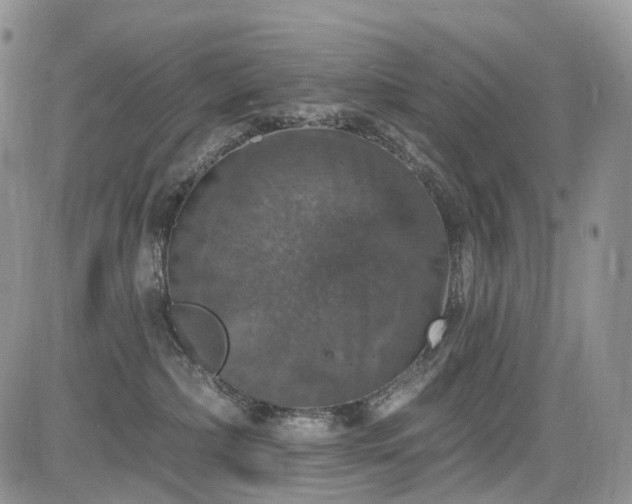 X0000085260236200703161412