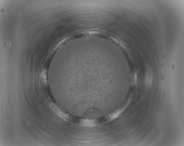 X0000085260238200703161412