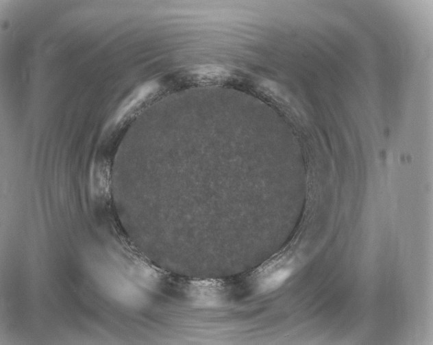 X0000085260240200703161412