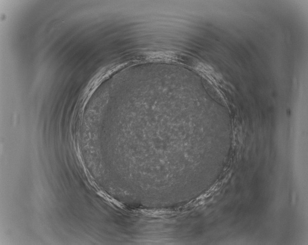 X0000085260241200703161411