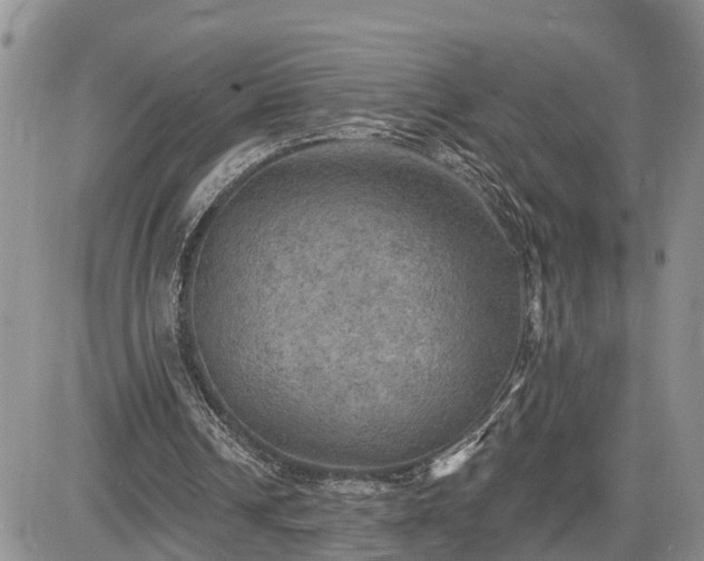 X0000085260242200703161411