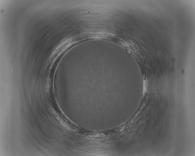 X0000085260243200703161411