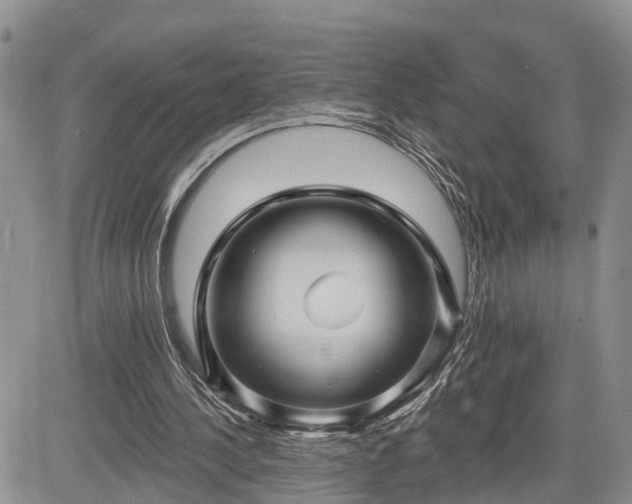 X0000085260244200703161411