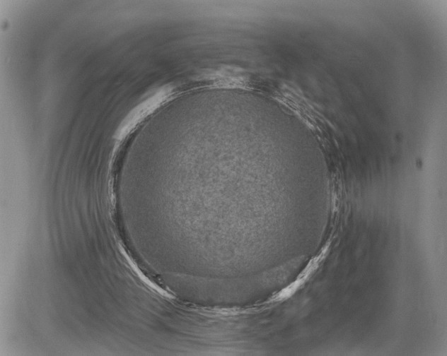 X0000085260245200703161411