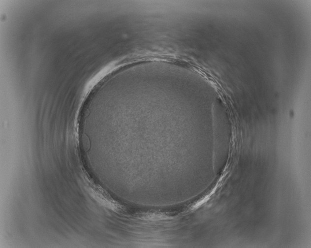 X0000085260246200703161411