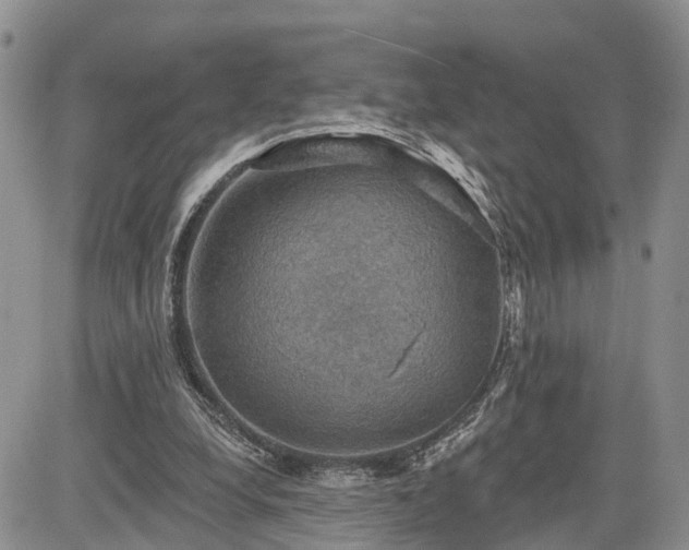 X0000085260248200703161411