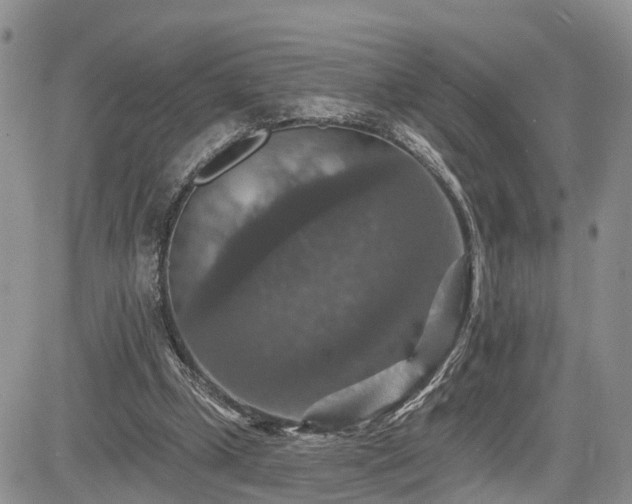 X0000085260249200703161411