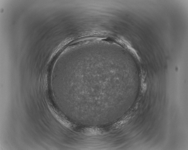 X0000085260250200703161411