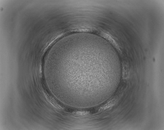 X0000085260251200703161411