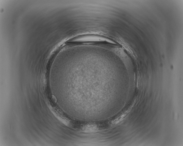 X0000085260252200703161411