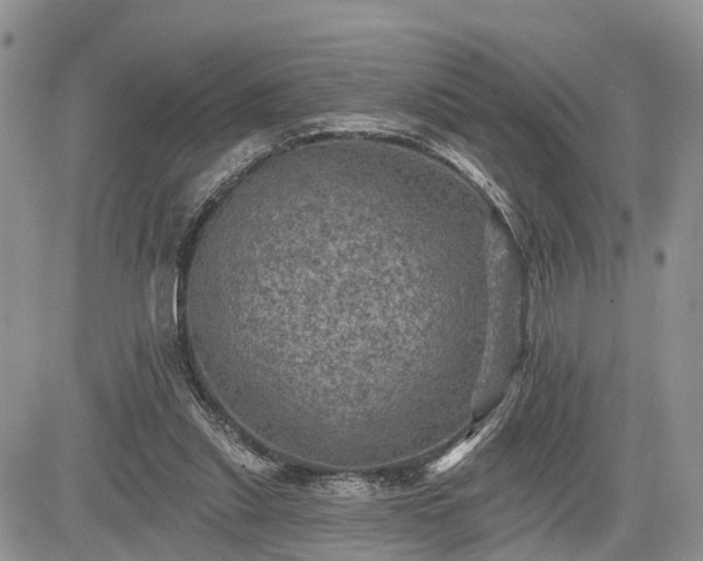 X0000085260253200703161411