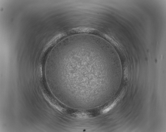 X0000085260254200703161411