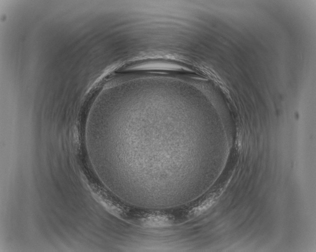 X0000085260256200703161411