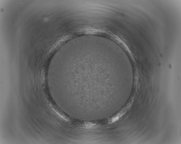 X0000085260257200703161411