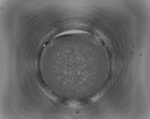 X0000085260258200703161411